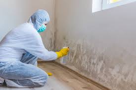 Trusted Leland Grove, IL Mold Removal & Remediation Experts